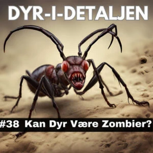#38 Kan Dyr Være Zombier?