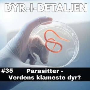#35 Parasitter – Verdens Klammeste Dyr!