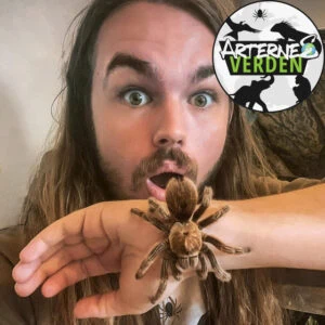 Fra Borneo til dansk natur: Podcastafsnit med Mikkel Sortemos fra Arternes Verden
